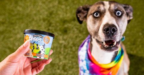 Ben & Jerry's Dog Ice Cream