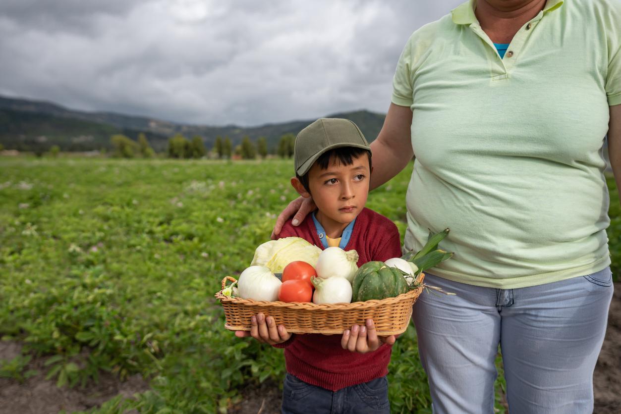 A young boy in a hat stands beside his mother while holding a basket of vegetables in a field of crops.