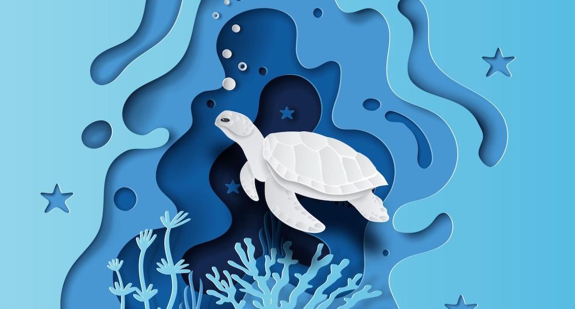 turtle underwater with many beautiful coral,