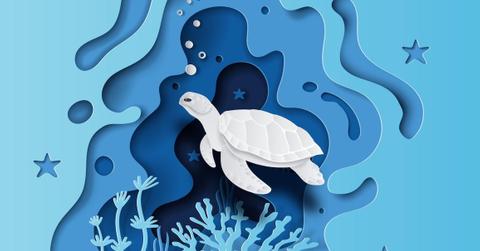 turtle underwater with many beautiful coral,