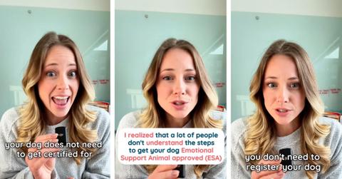 Three screenshots depict a Support Pets influencer discussing the company's service.