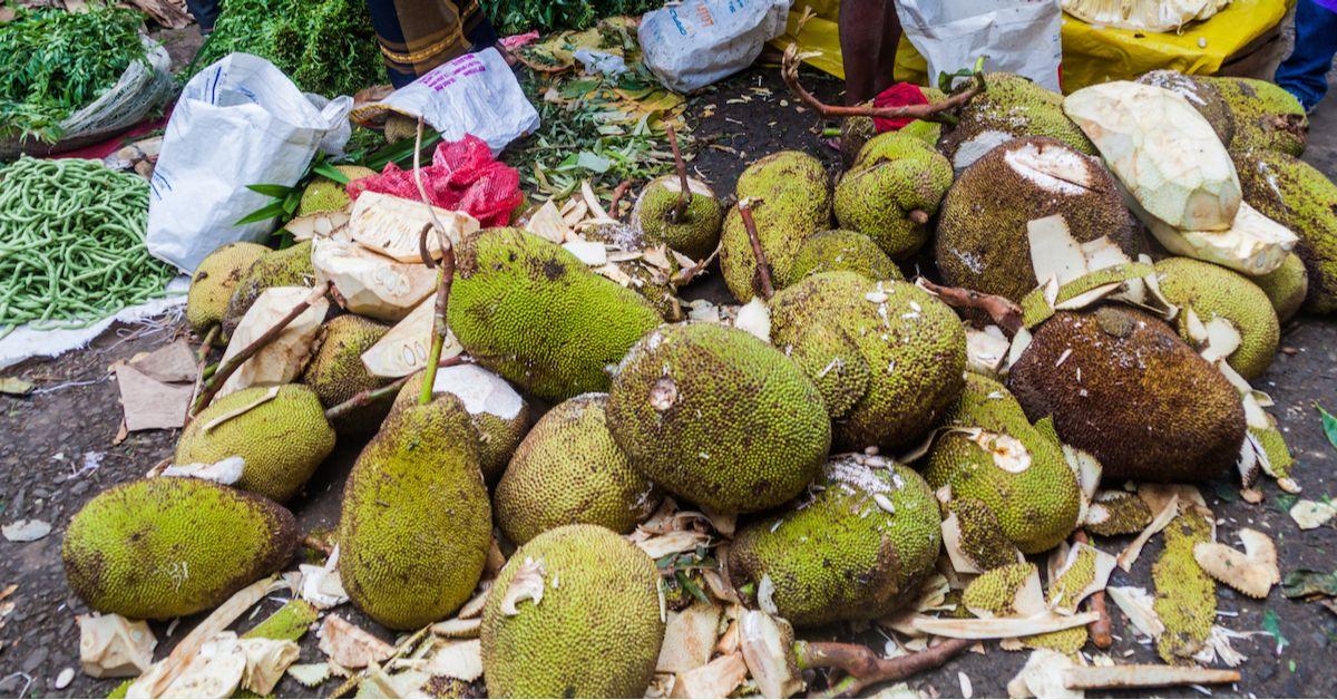 Whole Jackfruit