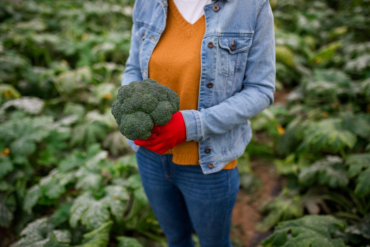 A close-up portrait of a farmer holding a head of broccoli in a field.