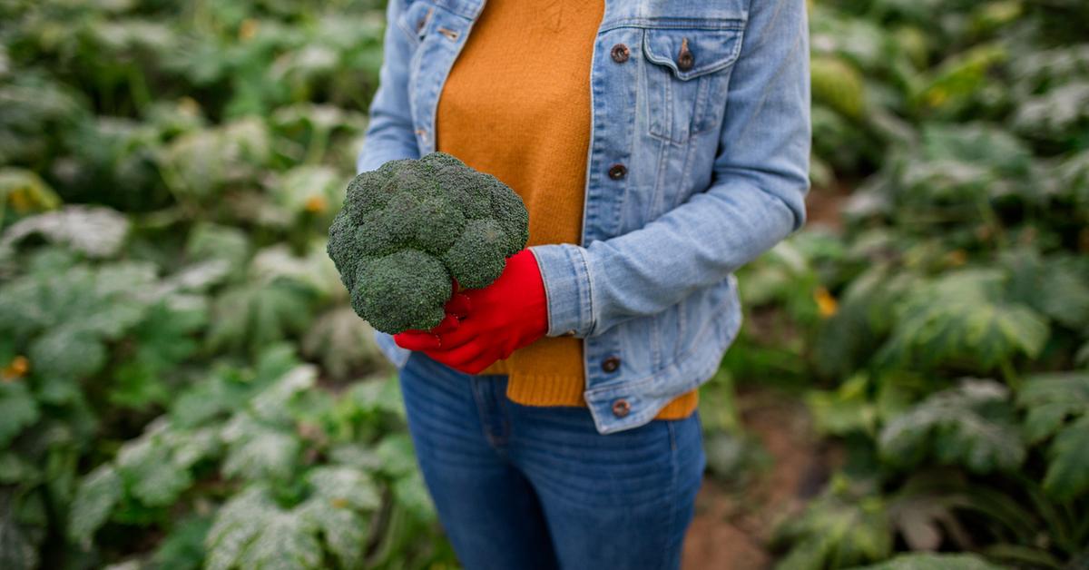 Is Broccoli a Natural or ManMade Vegetable?