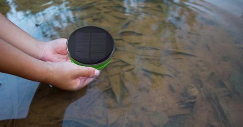 cornell upod mosquito trap