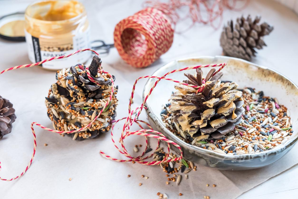 Pine Cone Bird Feeder