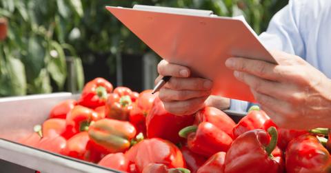 What is the most dangerous vegetable?