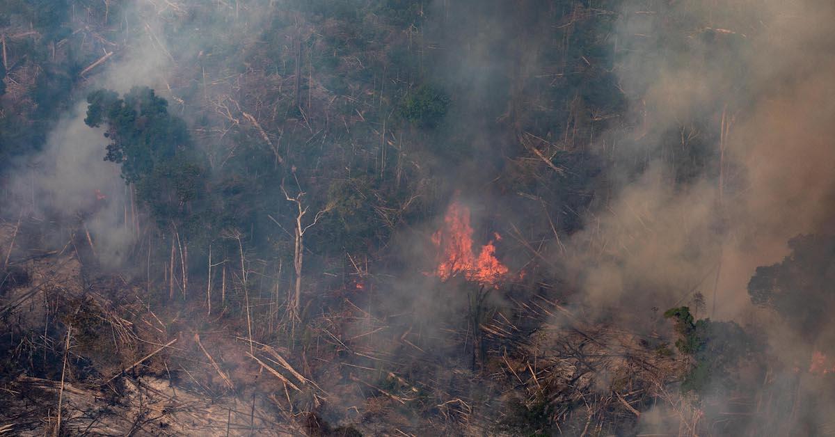 Amazon Rainforest Fires Are As Bad As 19 Thanks To Bolsonaro