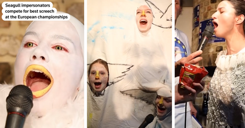 People dress up as seagulls and open their mouths to make gull noises
