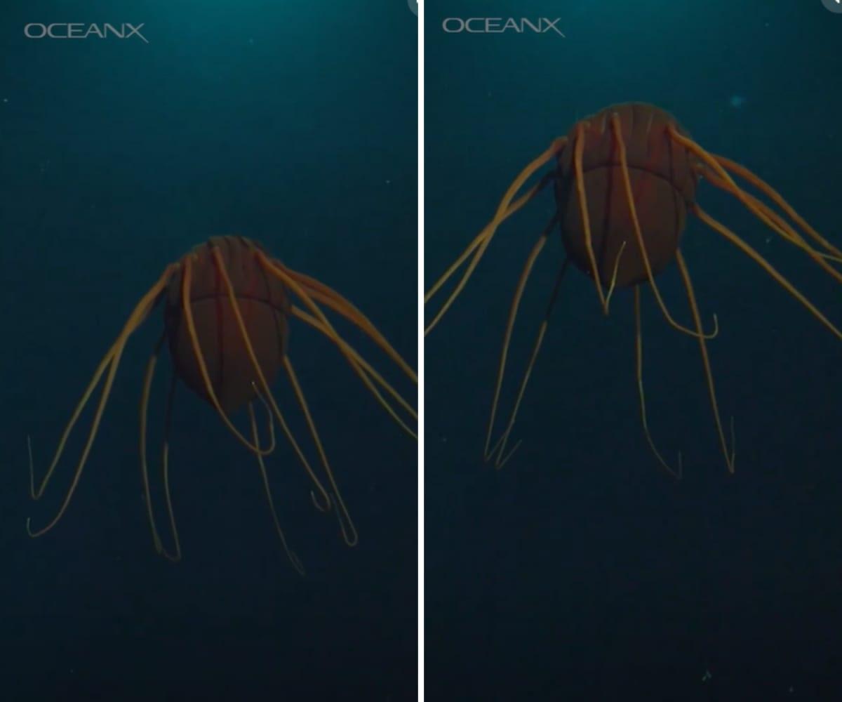 pn/bbeaa ffa f bf eeeede