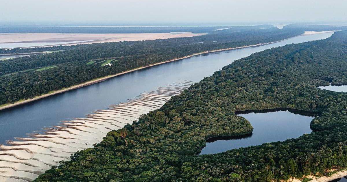 Amazon river snaking through the basin studded with greenery and soil (Representative Cover Image Source: Pexels | Gustavo Denuncio)