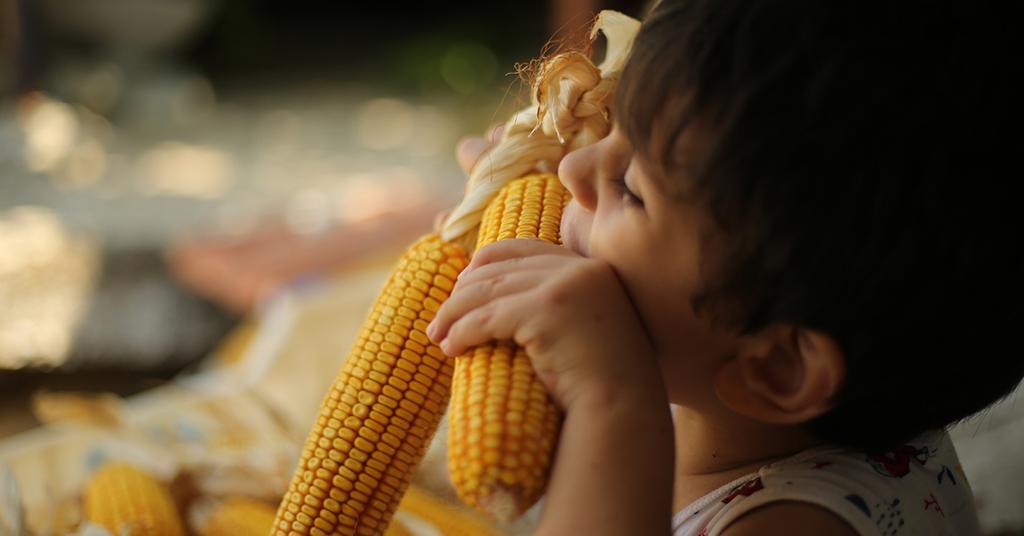 How Long Does Corn on the Cob Last?