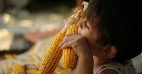 how long does corn on the cob stay fresh