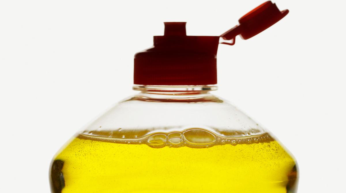 5 Common Things That Are Also Natural Bug Repellent for Plants