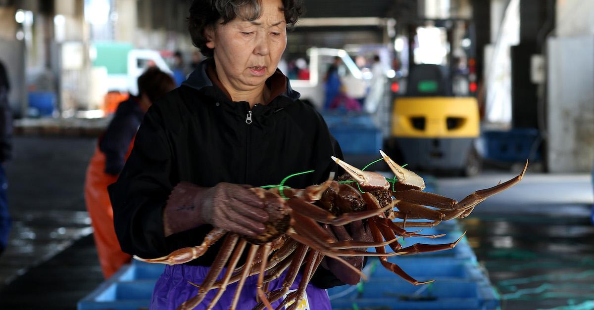 Why Ten Billion Snow Crabs Disappeared Off the Coast of Alaska