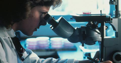 A doctor looks at a slide through a microscope
