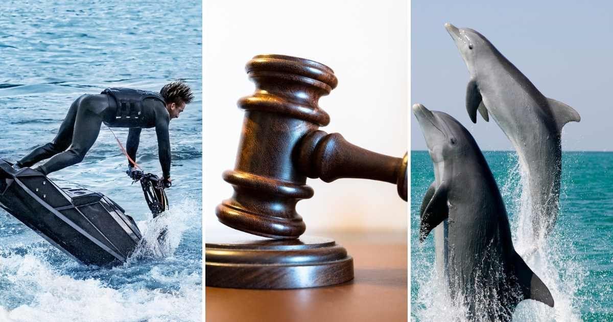 (L) Man in jet ski, (C) Gavel of a lawyer, (R) Pod of dolphins dancing in water (Representative Cover Image Source: Getty Images | (L) Sergey Dolgikh, (C) David Talukdar, (R) Stephen Frink)