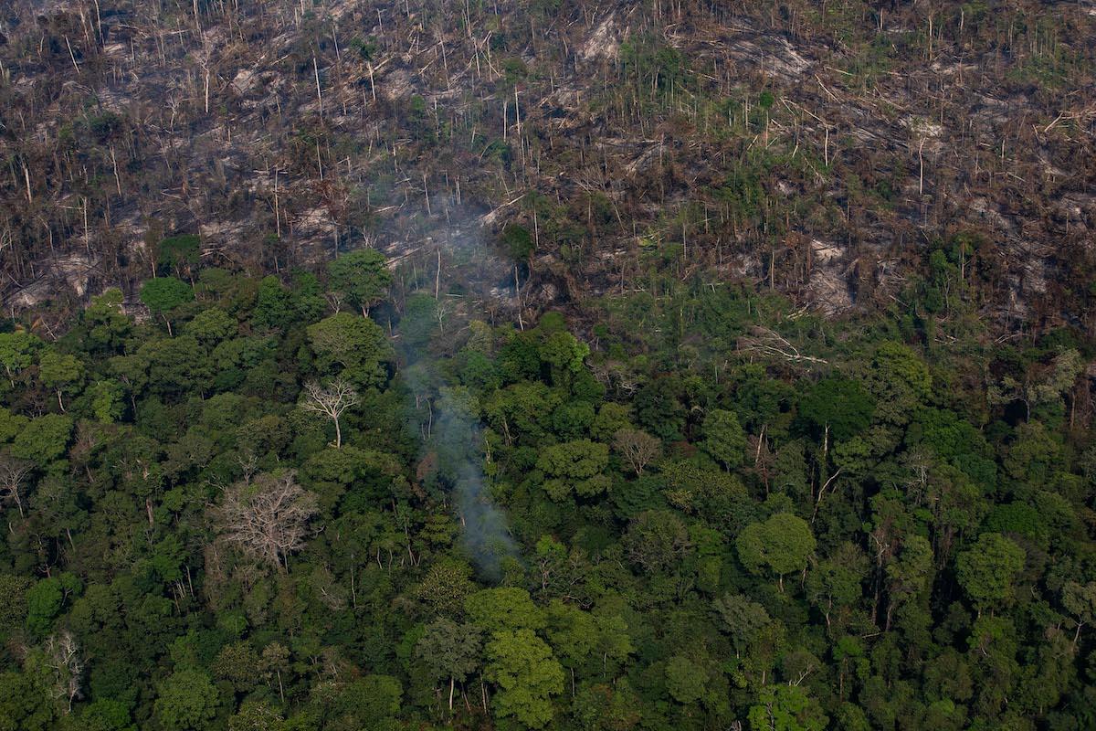 Amazon Rainforest Could Collapse Past Point Of Recovery By 64