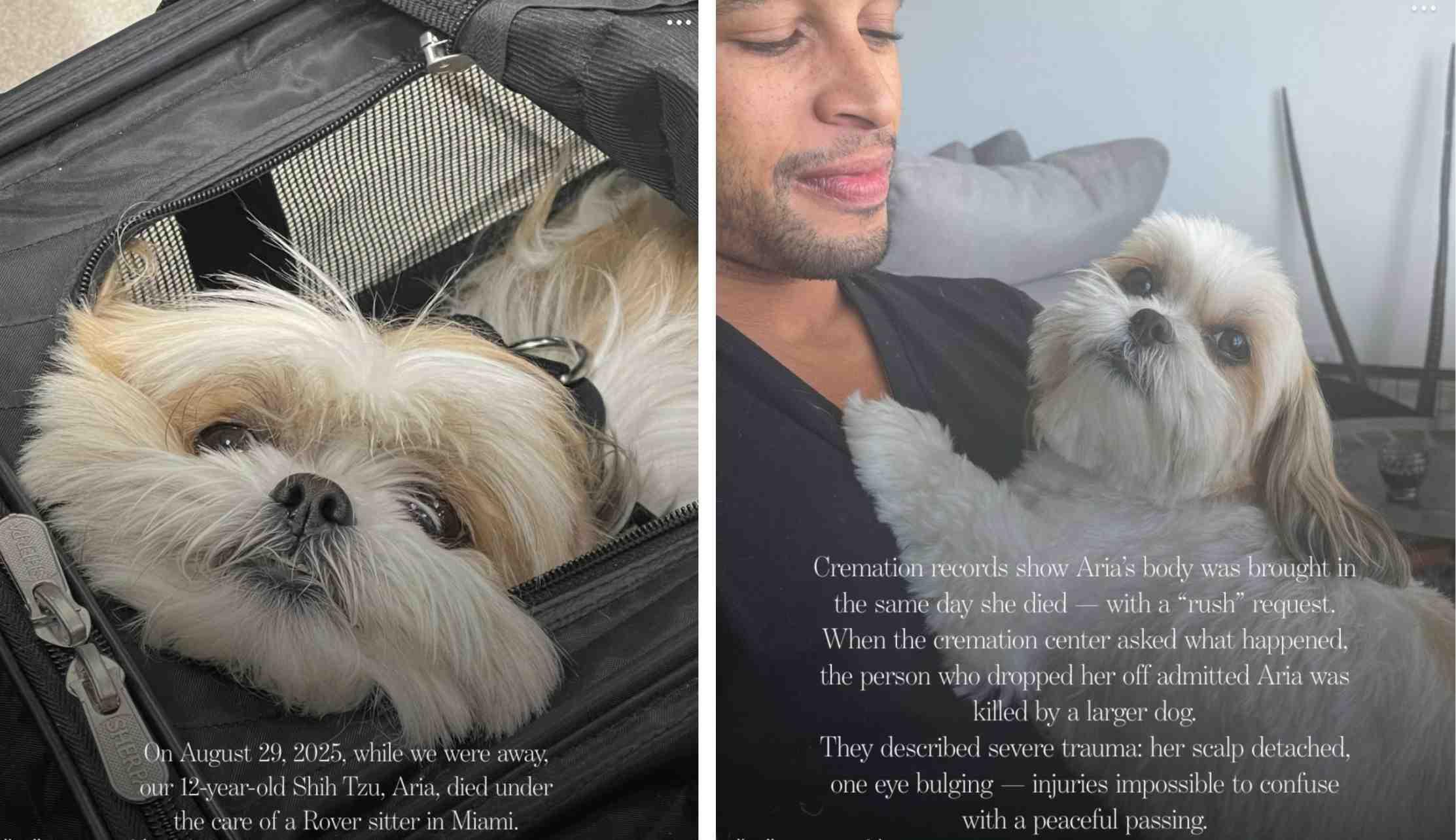 Details of a dog's death are pictured in text overlayed on photos of the dog.