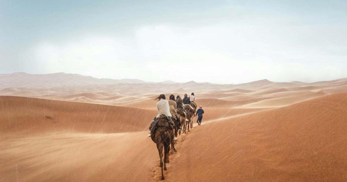 People riding on a camel get drenched in rain in the Sahara desert. (Representative Cover Image Source: Unsplash | YK)