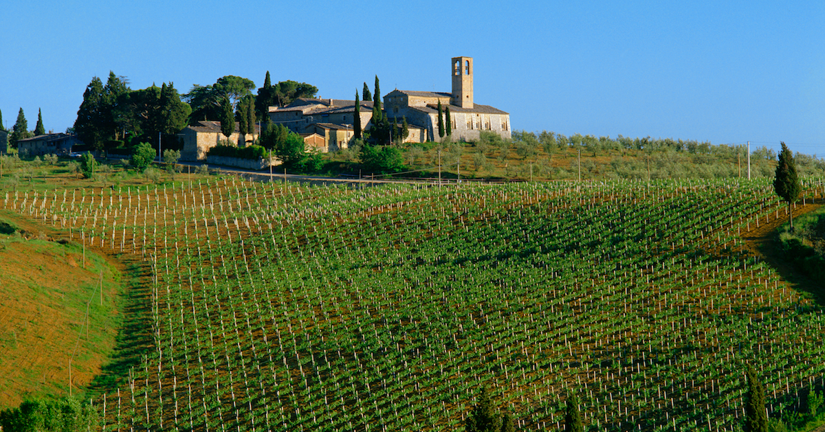 Vineyards Heat Wave