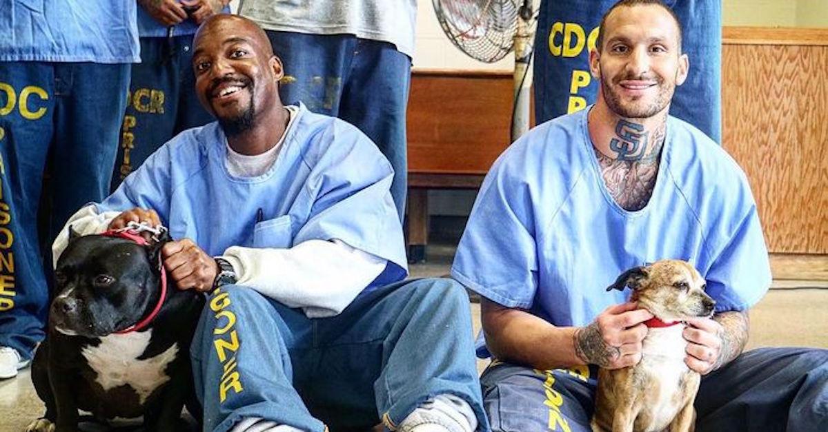 Inmate Dog Training Program Enriches Prisoners' and Rescue Pups' Lives