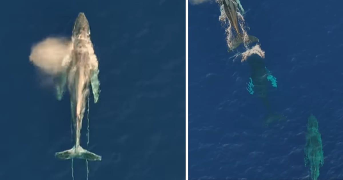 pn/df bb f c dbcfcad