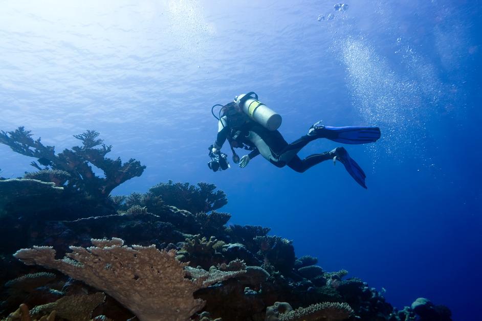Stock photo of an underwater photographer. 