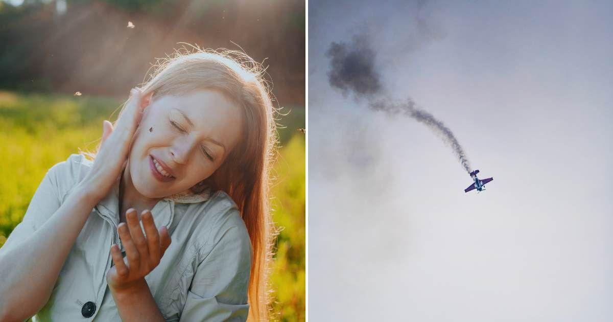 (L) A woman in a field is annoyed by flies around her face, (R) Airplane shooting a swarm in the sky, (Representative Cover Image Source: Getty Images | (L) Chaoss, (R) Mrs)
