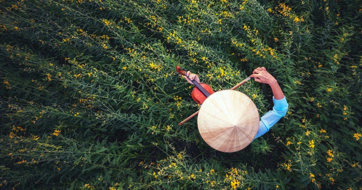 A Vietnamese woman plays classical music on the violin in a crop field. (Representative Cover Image Source: Getty Images | (L) GeorgiosArt, (R) Creative Fire)