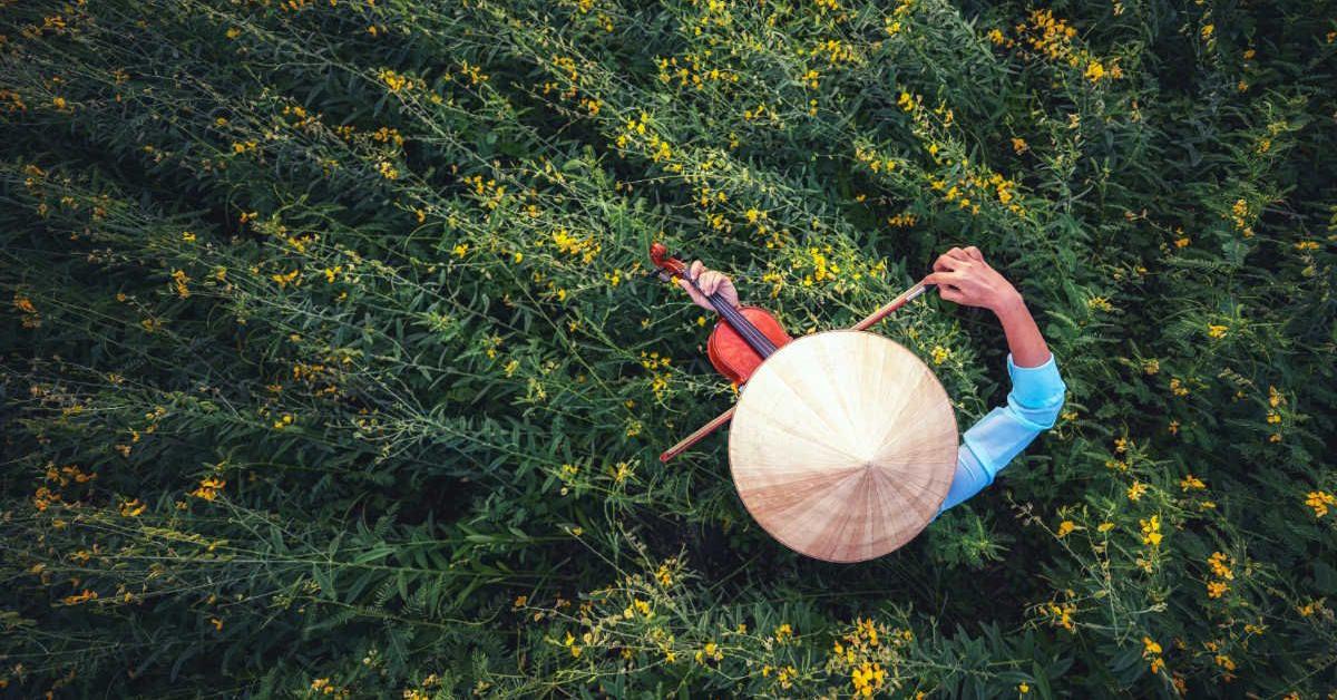 New Research Says Playing Classical Music Can Actually Make Your Plants  Grow Better