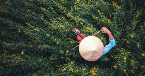 A Vietnamese woman plays classical music on the violin in a crop field. (Representative Cover Image Source: Getty Images | (L) GeorgiosArt, (R) Creative Fire)