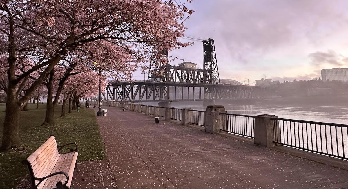 portland oregon reddit