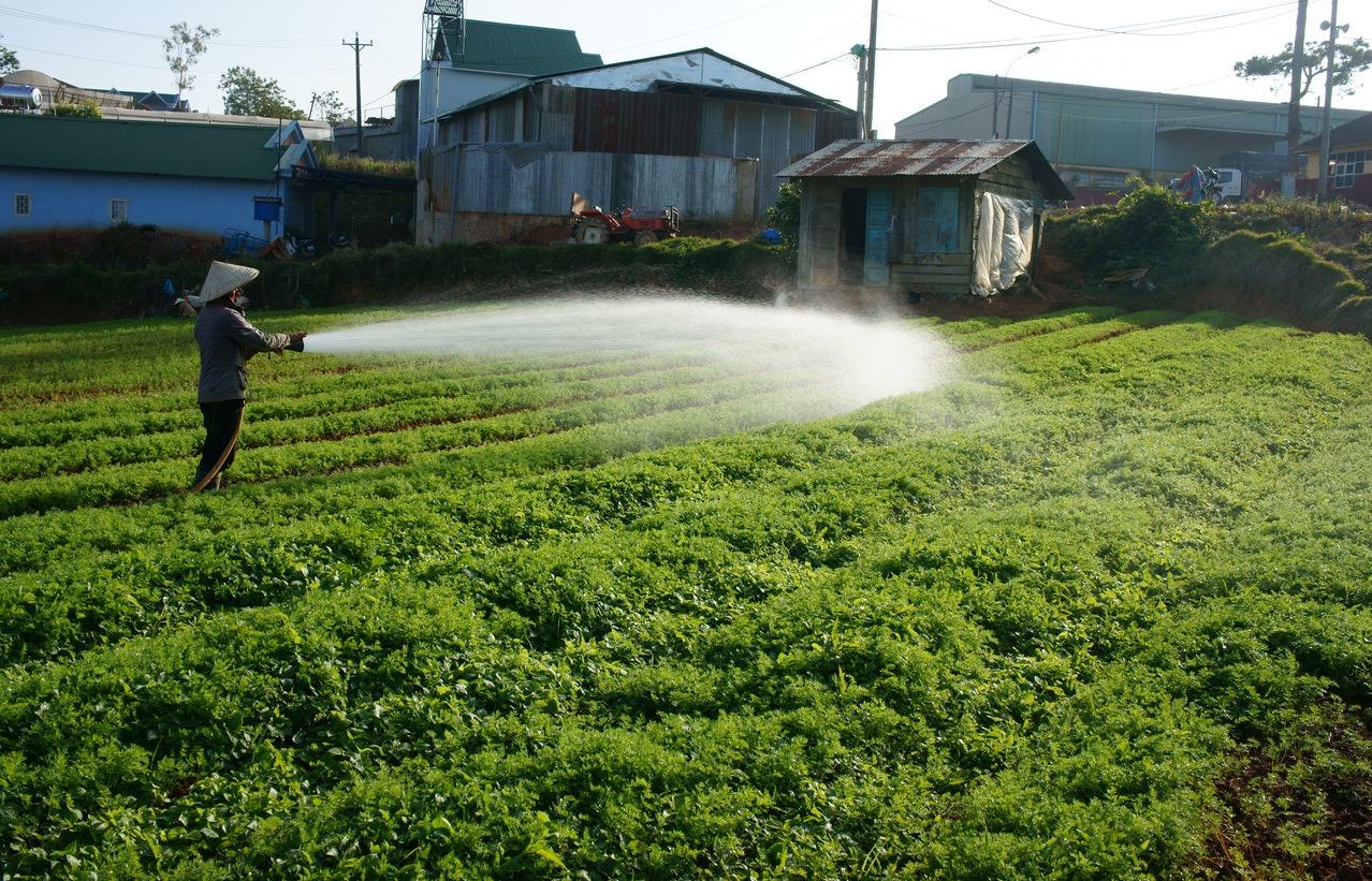 Irrigation Water Use