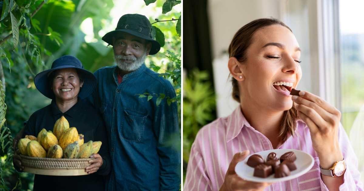 (L) Farmer holding a basket of plucked cocoa pods, (R) Woman enjoying chocolate (Representative Cover Image Source: Getty Images | (L) Me 3645 Studio, (R) Nastasic)
