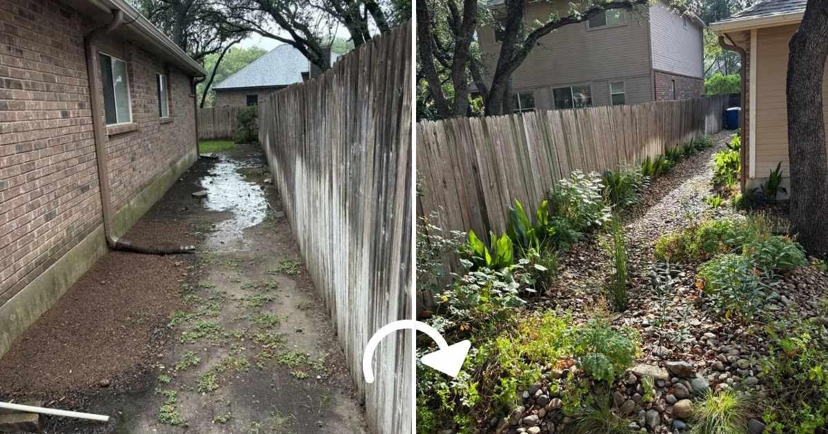 Pictures of a house's back side strip that a gardener transformed into a 'rain garden' due to stagnant water (Cover Image Source: Reddit | u/bubble_gum_princess_)