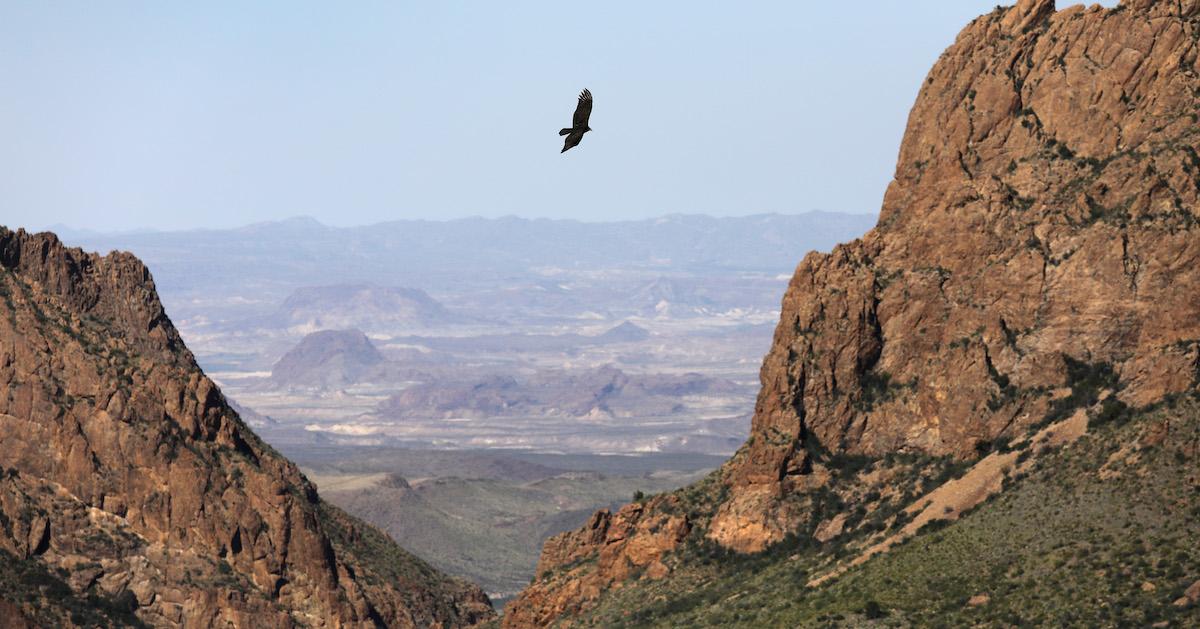 National Park Conservancy