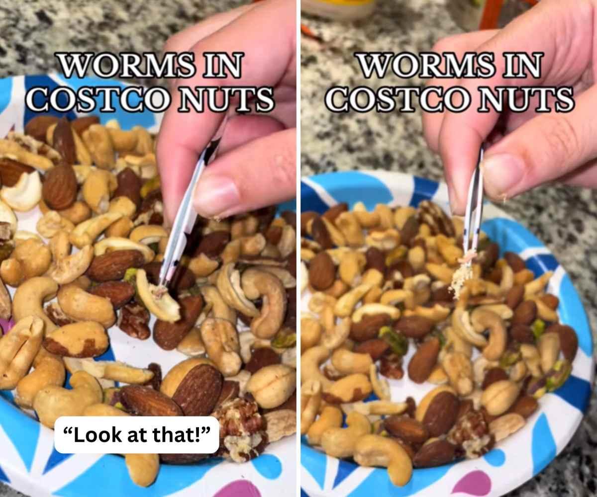 pn/bc ebb bb  babcaf