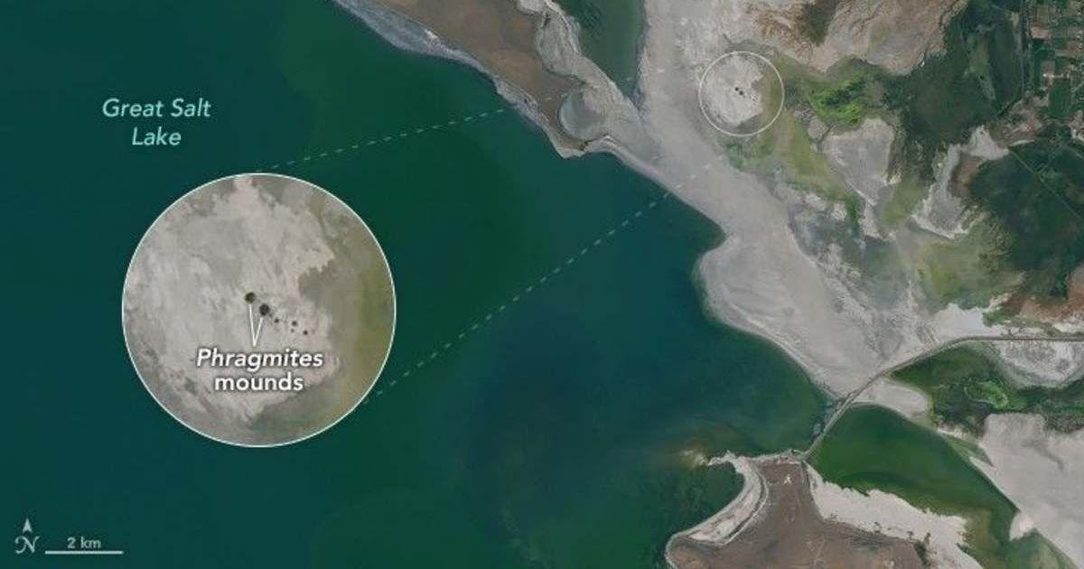 Satellite images show dozens of small, circular features along a drying lakebed in Utah's Great Salt Lake. (Cover Image Source: NASA Earth Observatory)