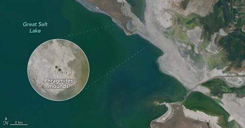 Satellite images show dozens of small, circular features along a drying lakebed in Utah's Great Salt Lake. (Cover Image Source: NASA Earth Observatory)