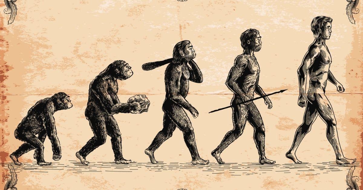 Concept of human evolution. (Representative Cover Image Source: Getty Images | Man_Half-tube)