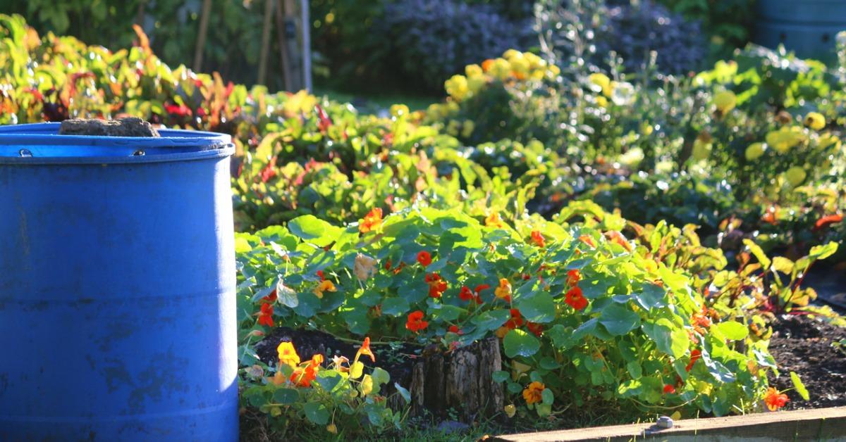 Shower Bucket Environmental Benefits: How to Save Water and Money