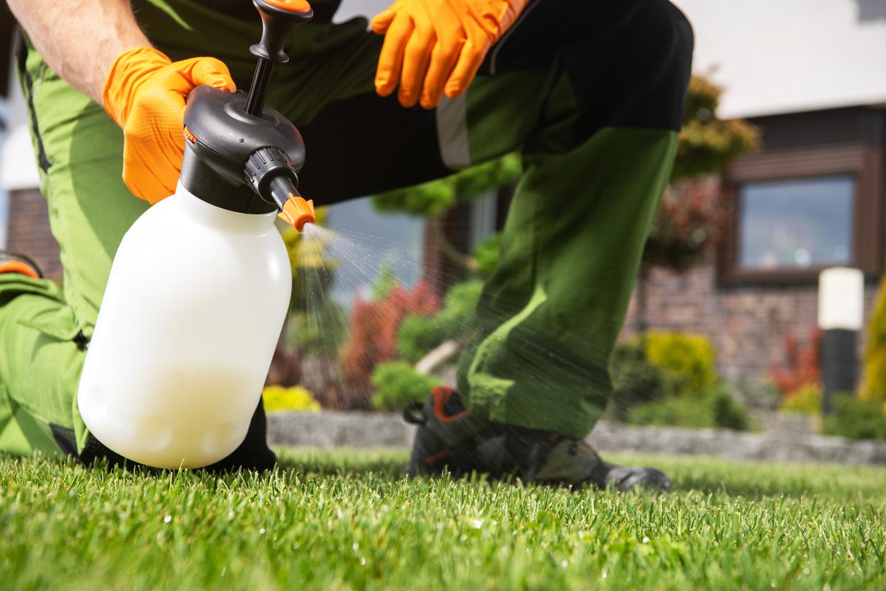 Person spraying lawn with chemicals