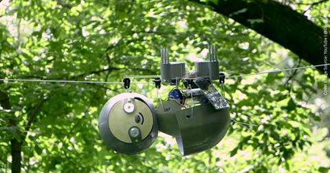 Slothbot, the iconic sloth-mimicing robot hangs from a tree in Atlanta Botanical Garden (Cover Image Source: YouTube | @GeorgiaTech)