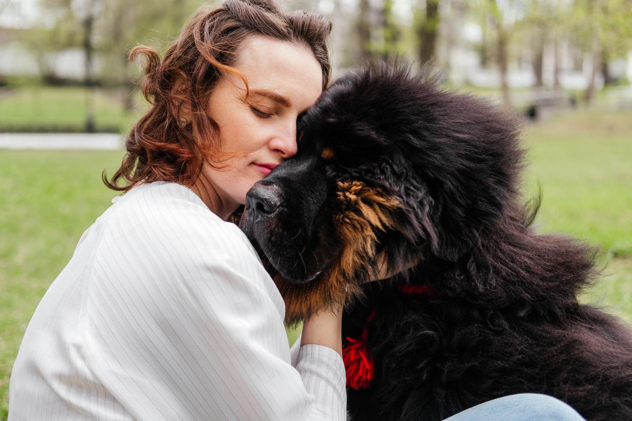 A woman wearing a white shirt hugs her large Tibetan mastiff dog outdoors at a park in the grass.