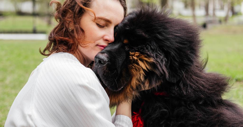 How Much It Costs to Cremate a Dog vs. a Pet Burial