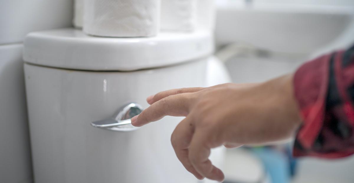 A hand reaches to flush a toilet