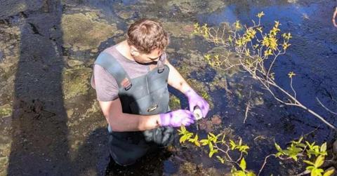 Jarod Snook collected water samples from sites that were previously identified as PFAS “hotspots.” (Cover Image Source: Jarod Snook | The University of Rhode Island)
