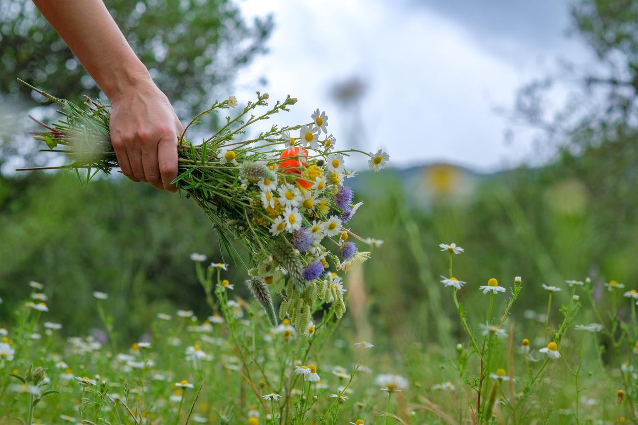 A home-grown flower bouquet in a person's hand