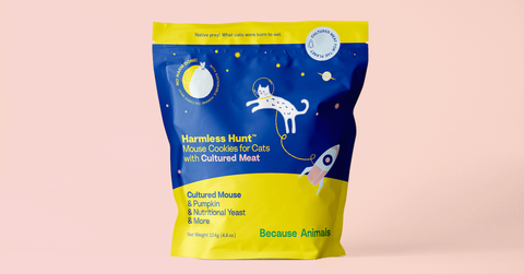 Because, Animals Mouse Meat Cat Treats